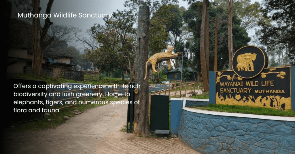 Wildlife including elephants at Muthanga Wildlife Sanctuary